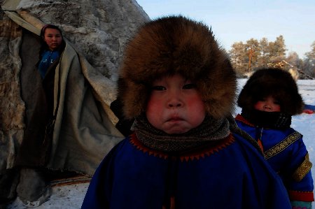 Кочевники